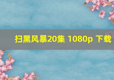 扫黑风暴20集 1080p 下载